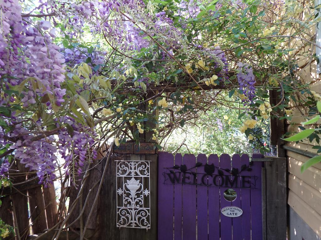 Bowral Road Art Gallery Bed And Breakfast Mittagong Exterior foto